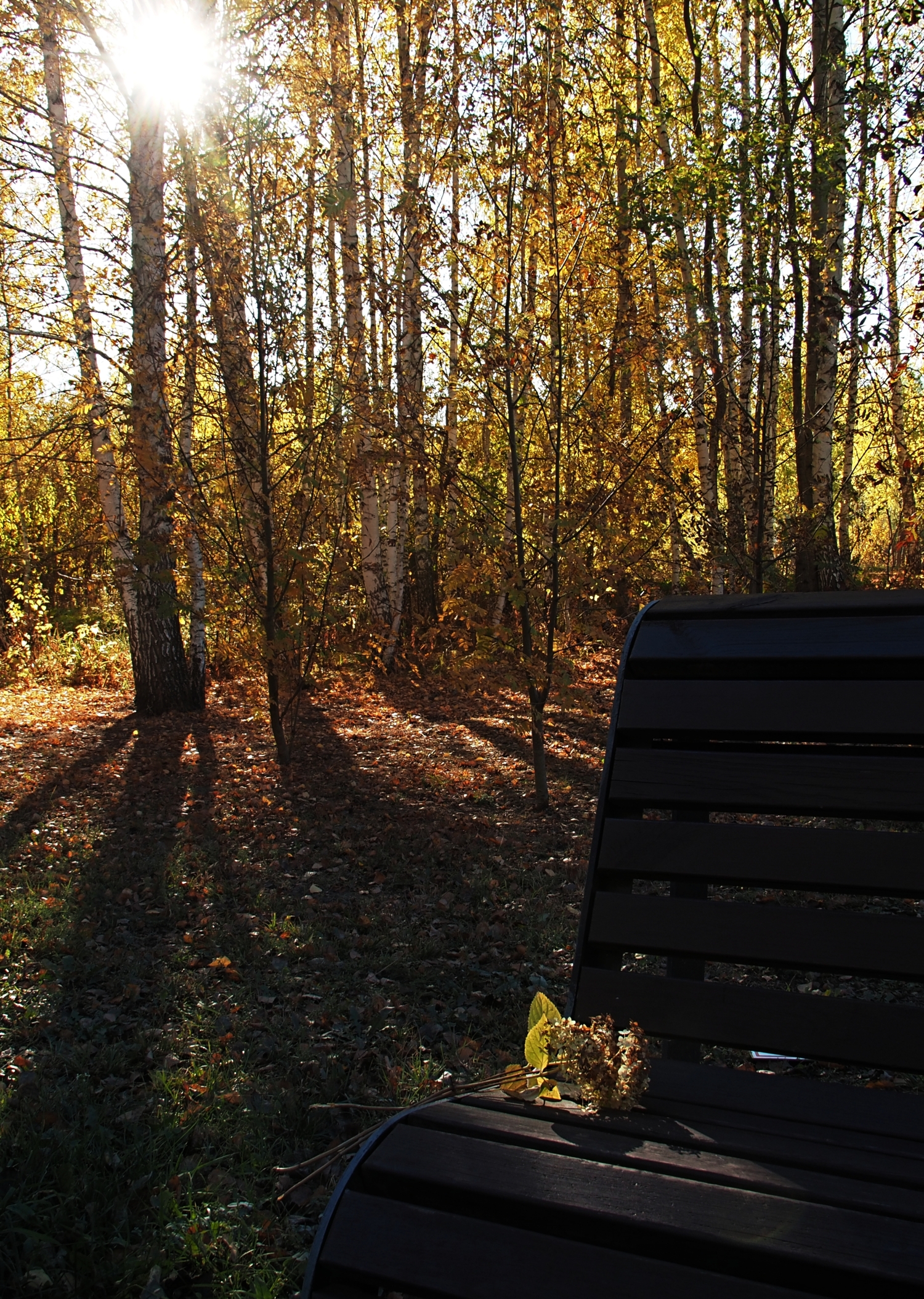 Осень неизбежна.