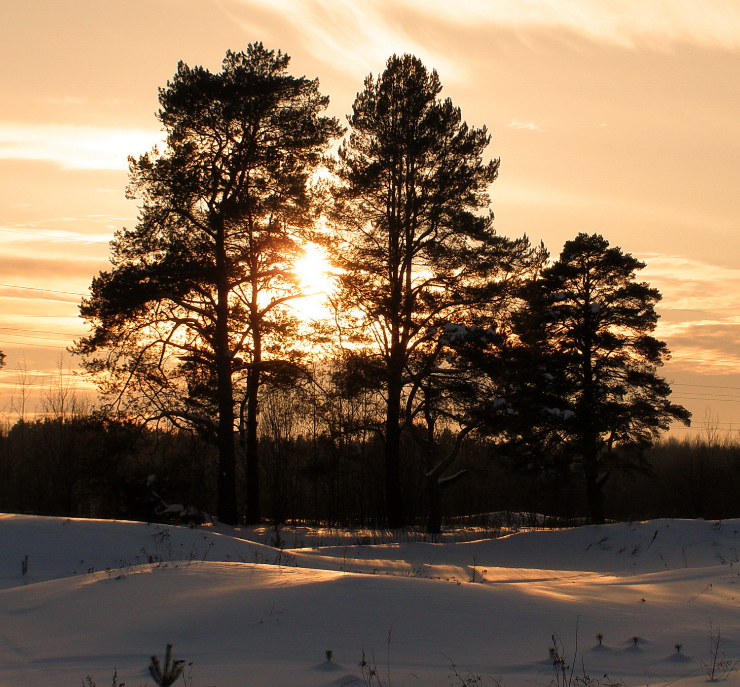 Зимняя красота.