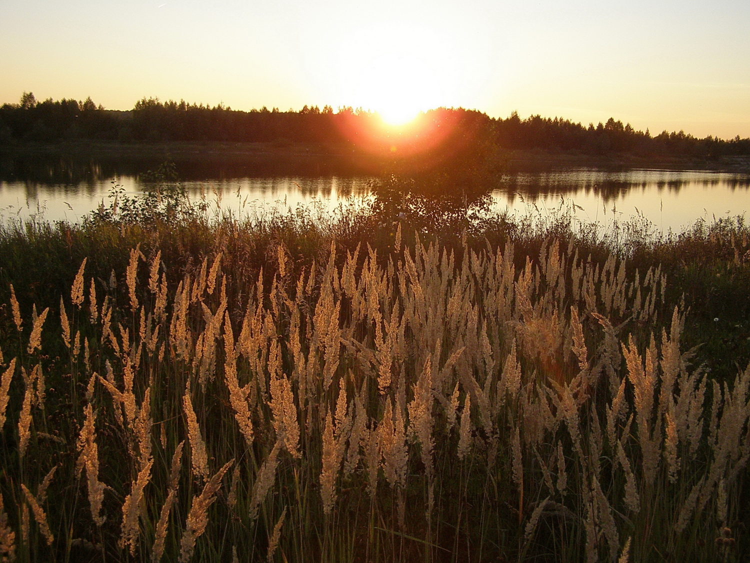 И когда утих ветер...