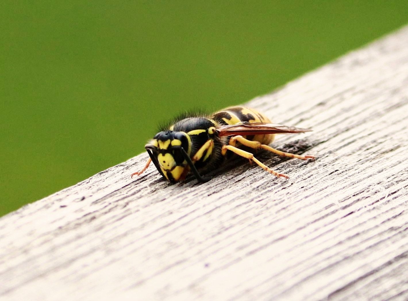 В минуты отдыха