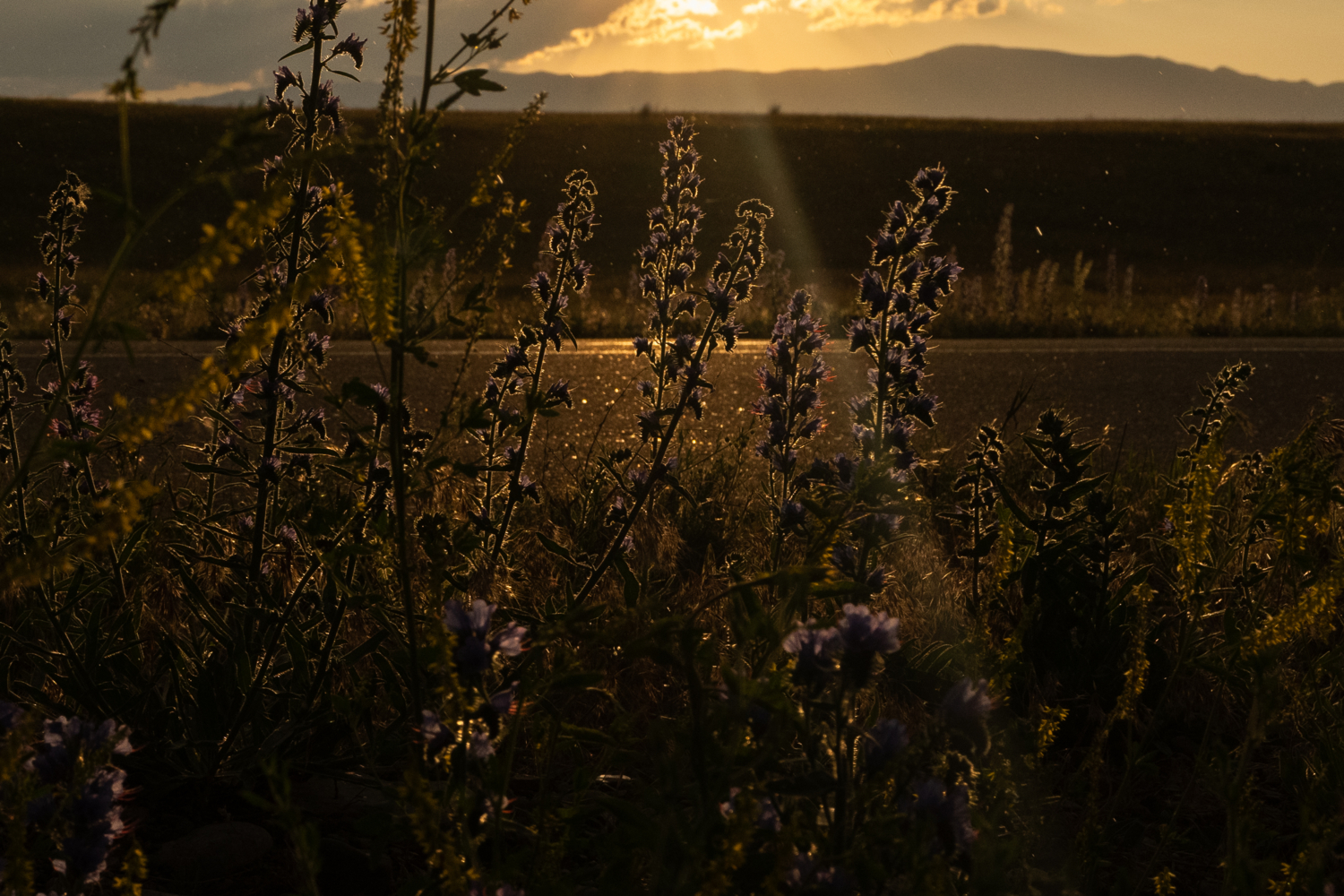 После грозы