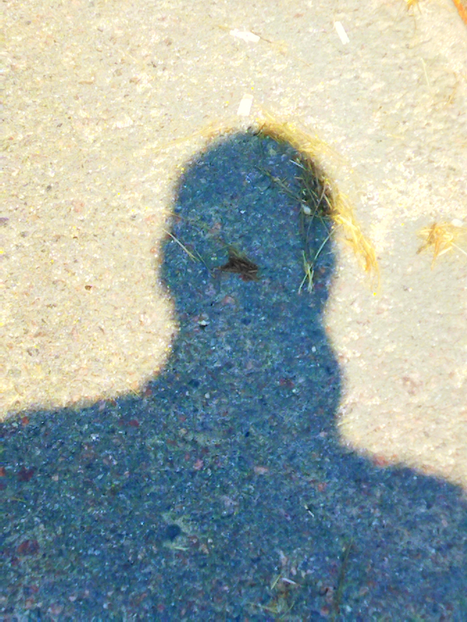 ЗДОРОВЕНЬКИ!