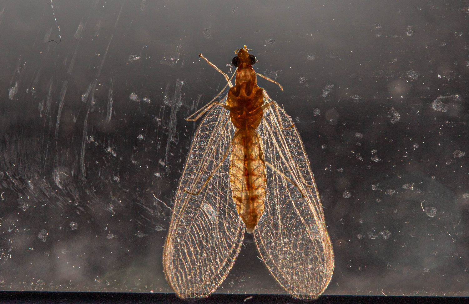 Томография..