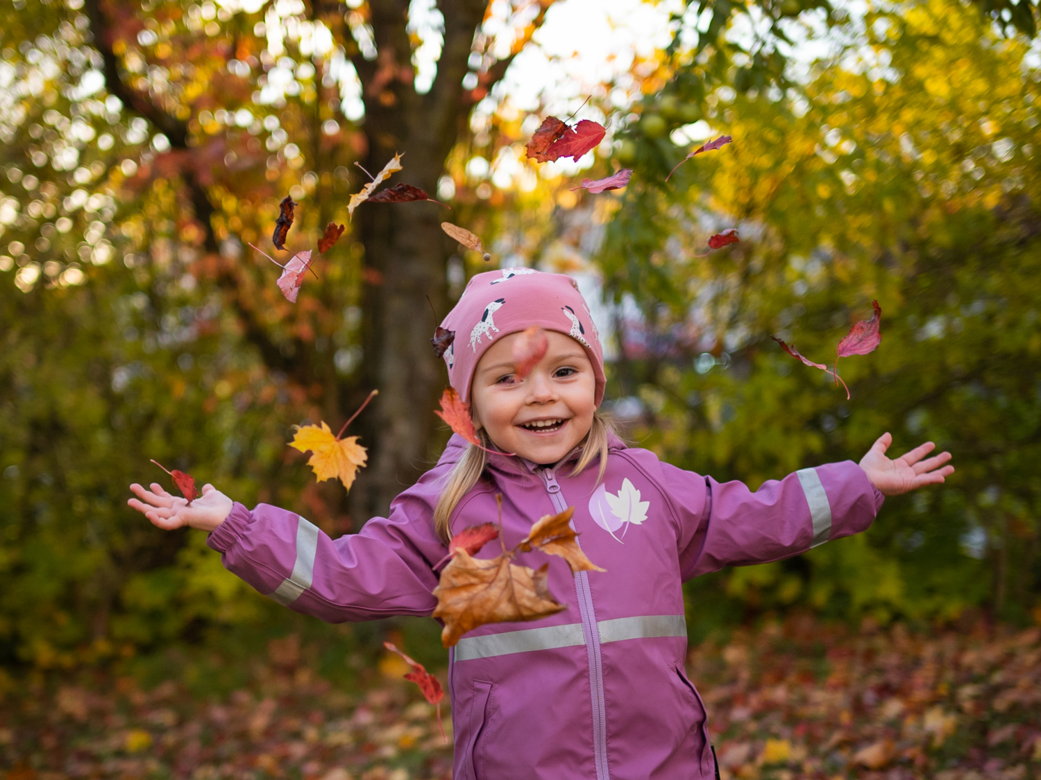 Здравствуй, осень!