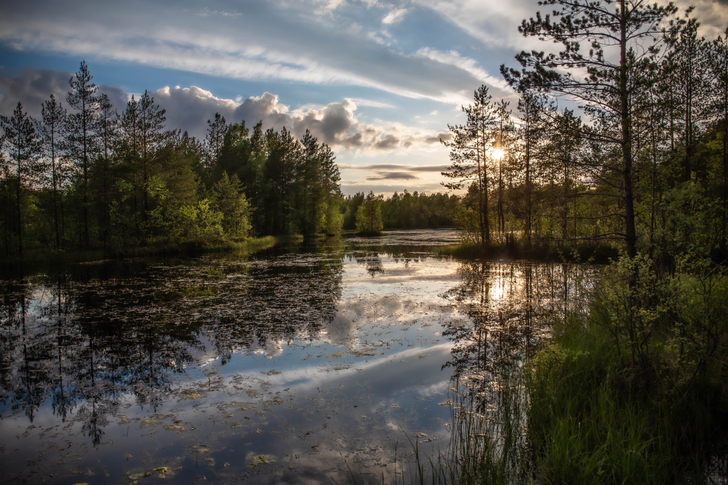 Вечерний звон..