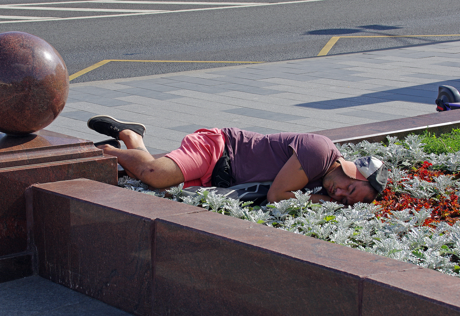 Заснул в цветах