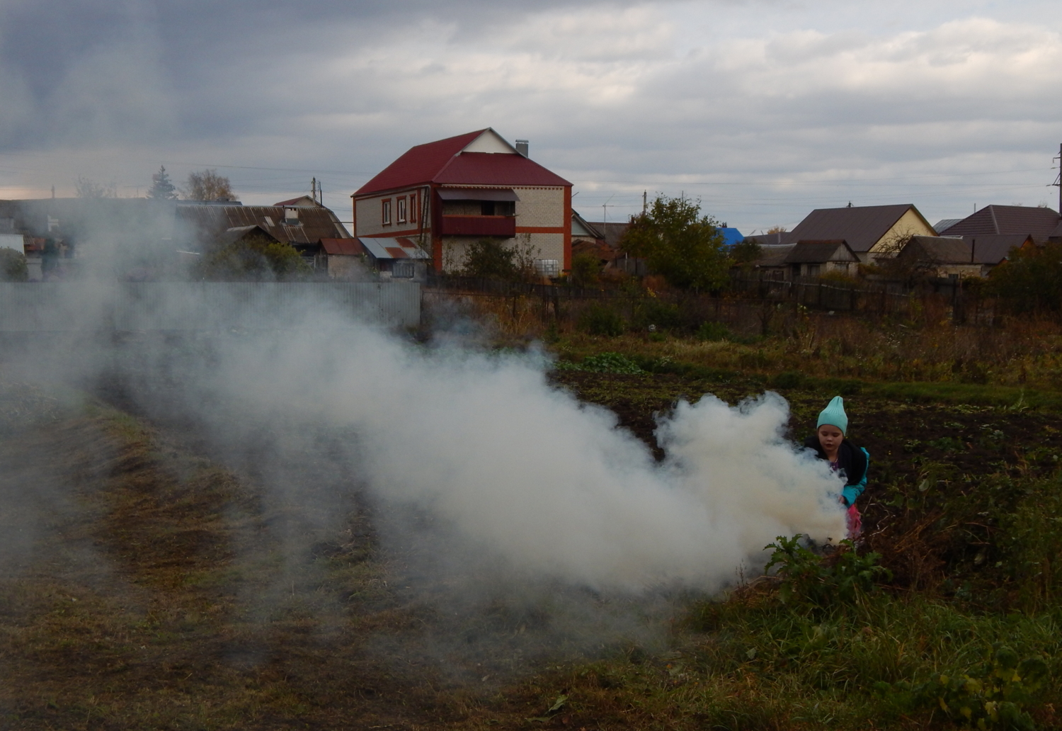 Хозяйственная соседка