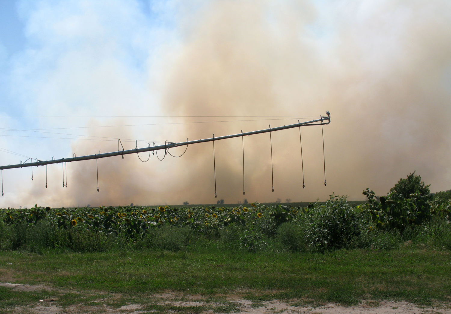 Горят поля...