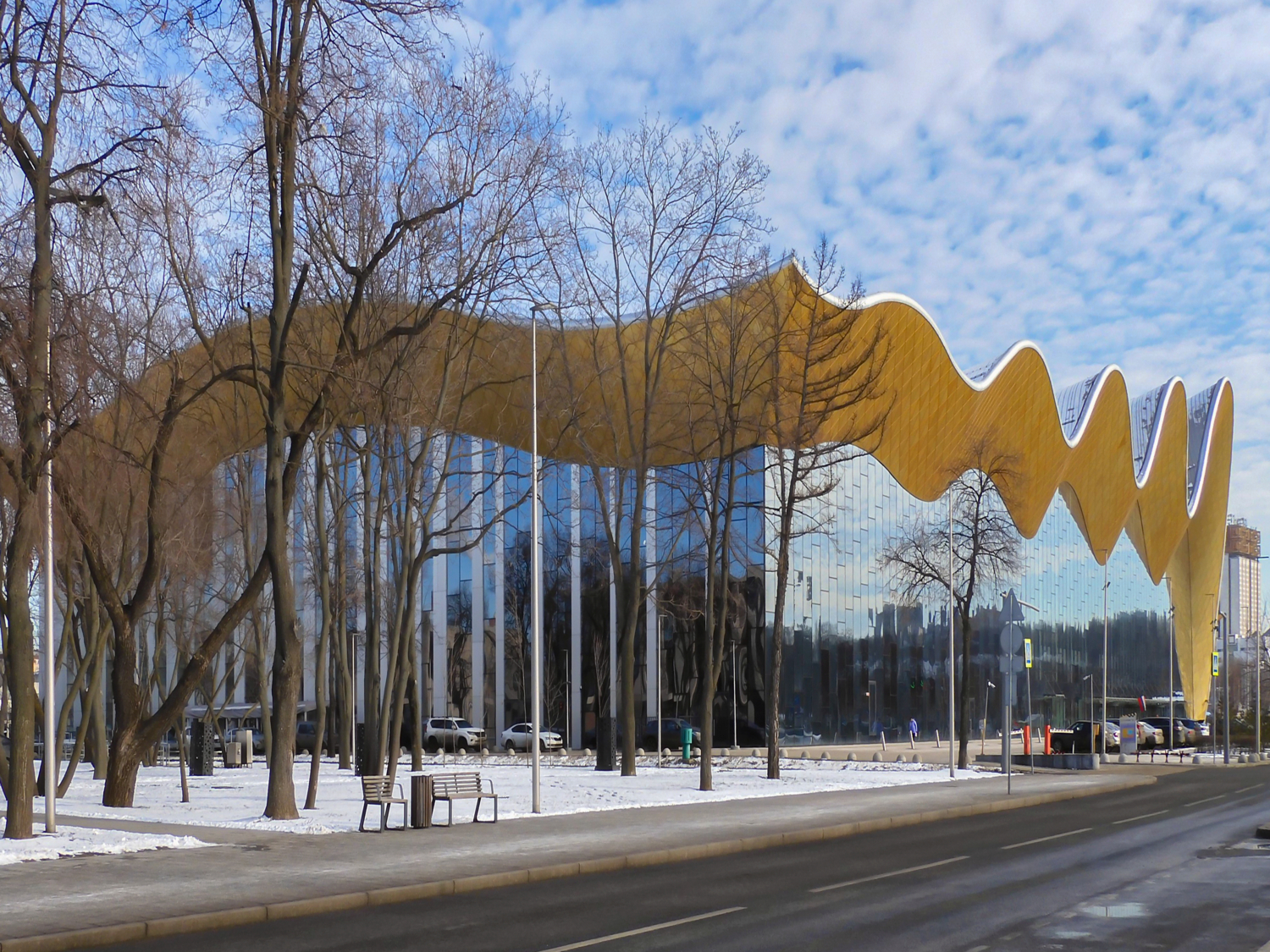 Дворец Ирины Винер в Лужниках.