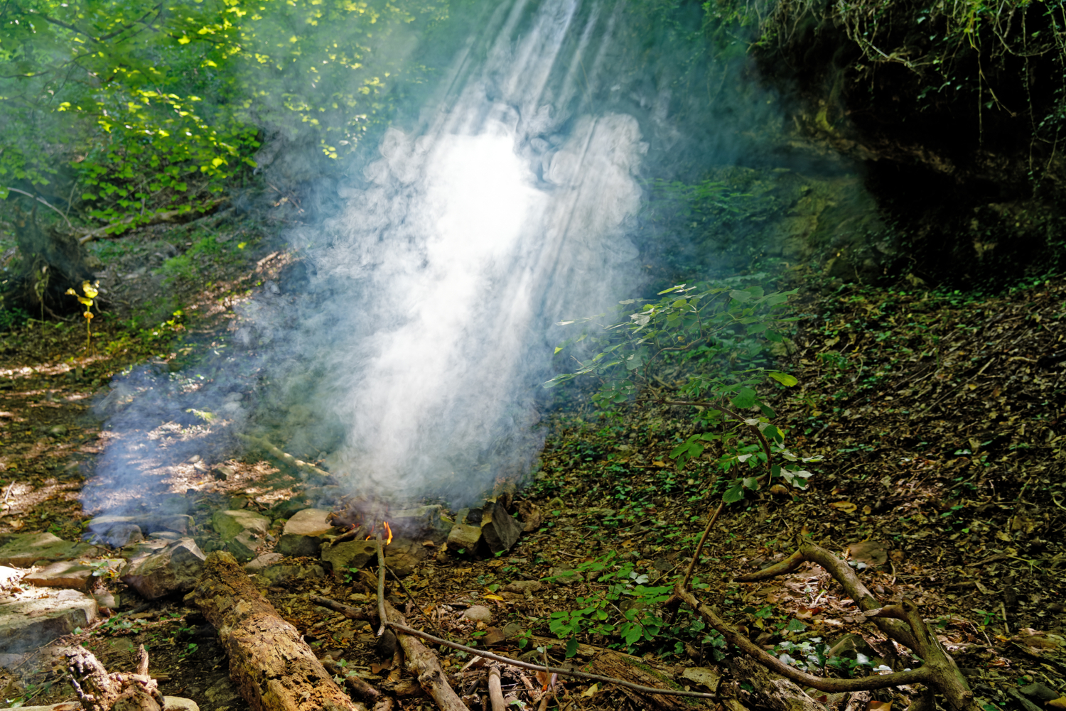 Сонная лощина