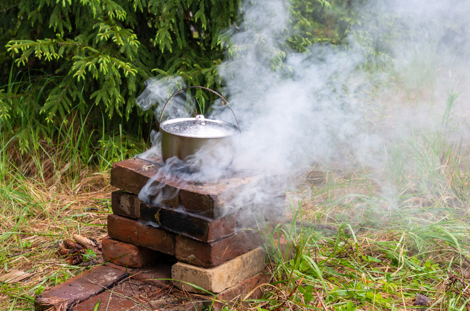 Кушать подано
