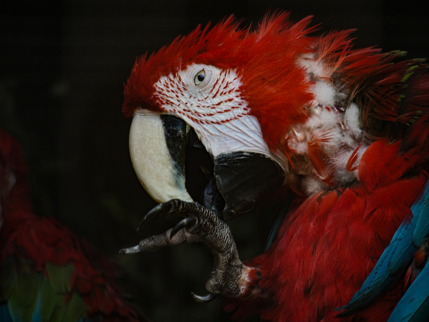 Заканчивай съемку, надоело!