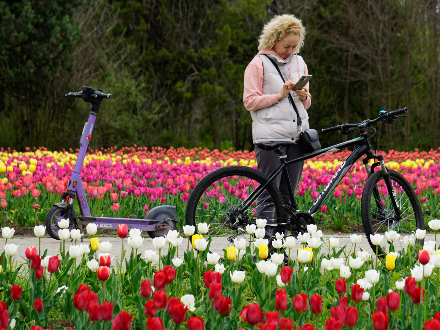 Правильный выбор