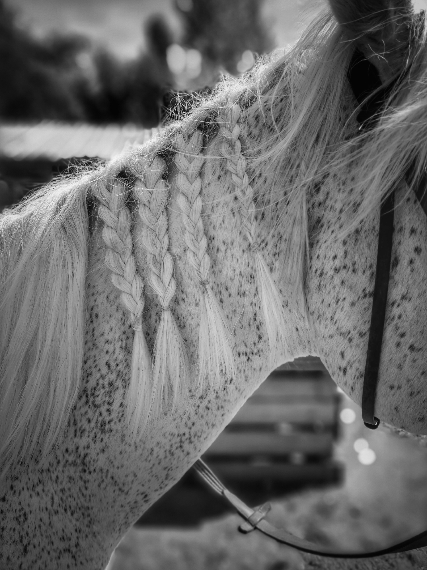 Лихач и косички?