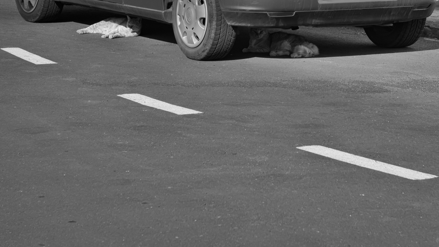 Третий не лишний