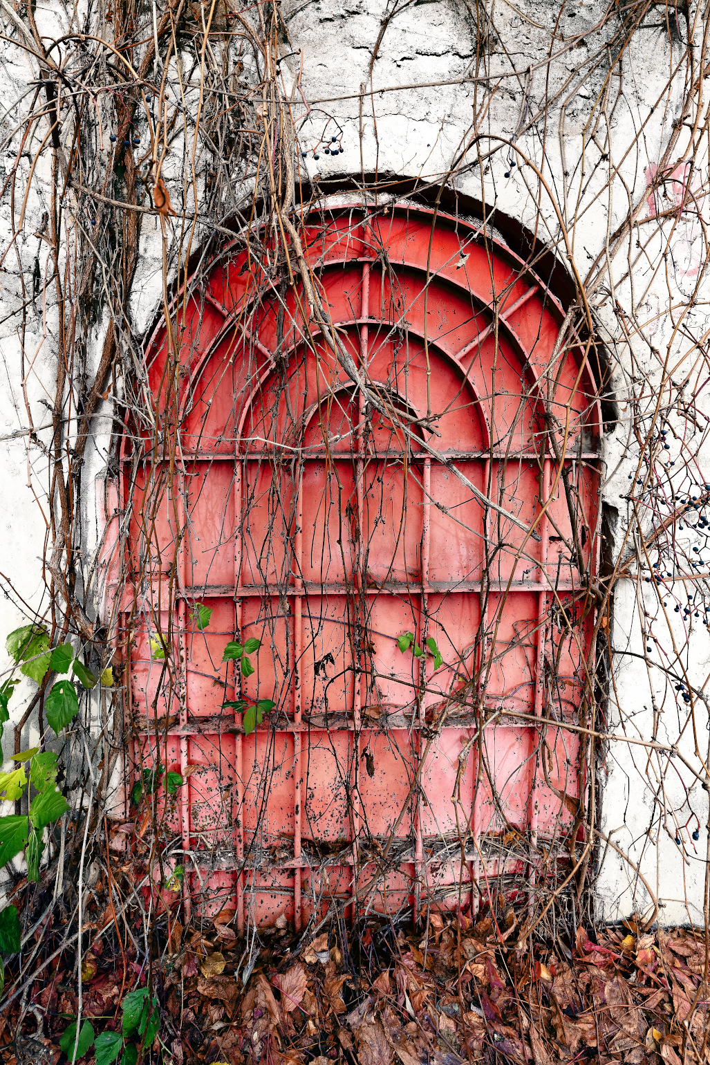 Калитка в рай давно уж заросла лозой