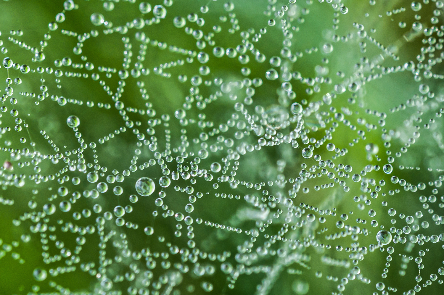 Перекличка