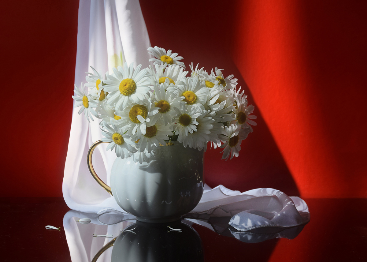 Любит, не любит