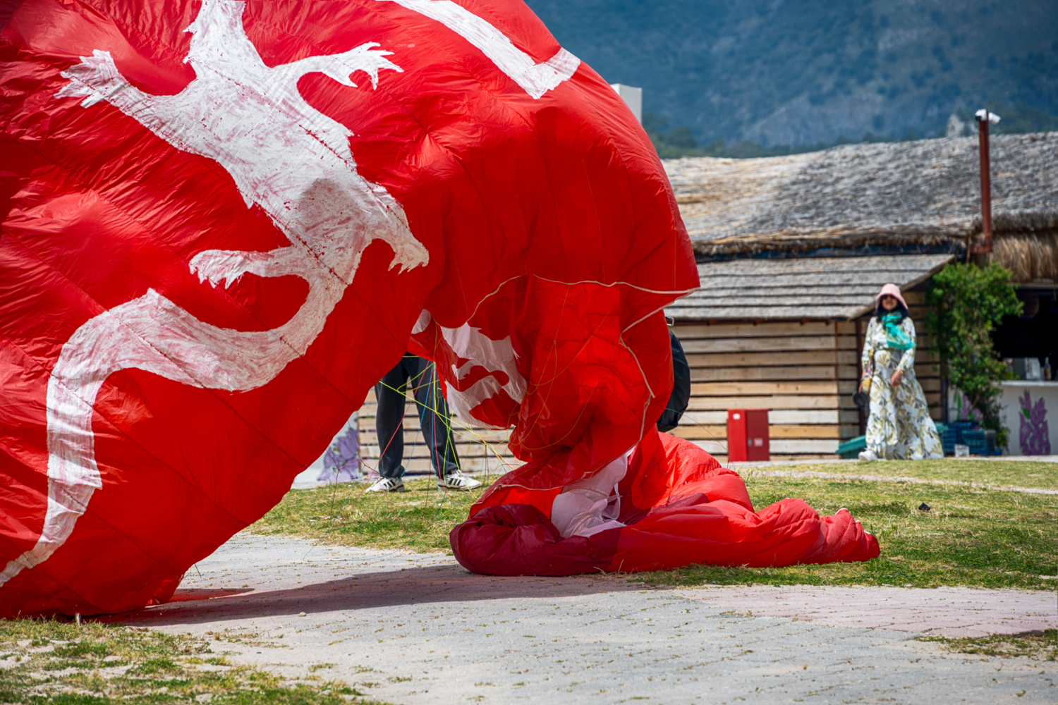 Белый дракон