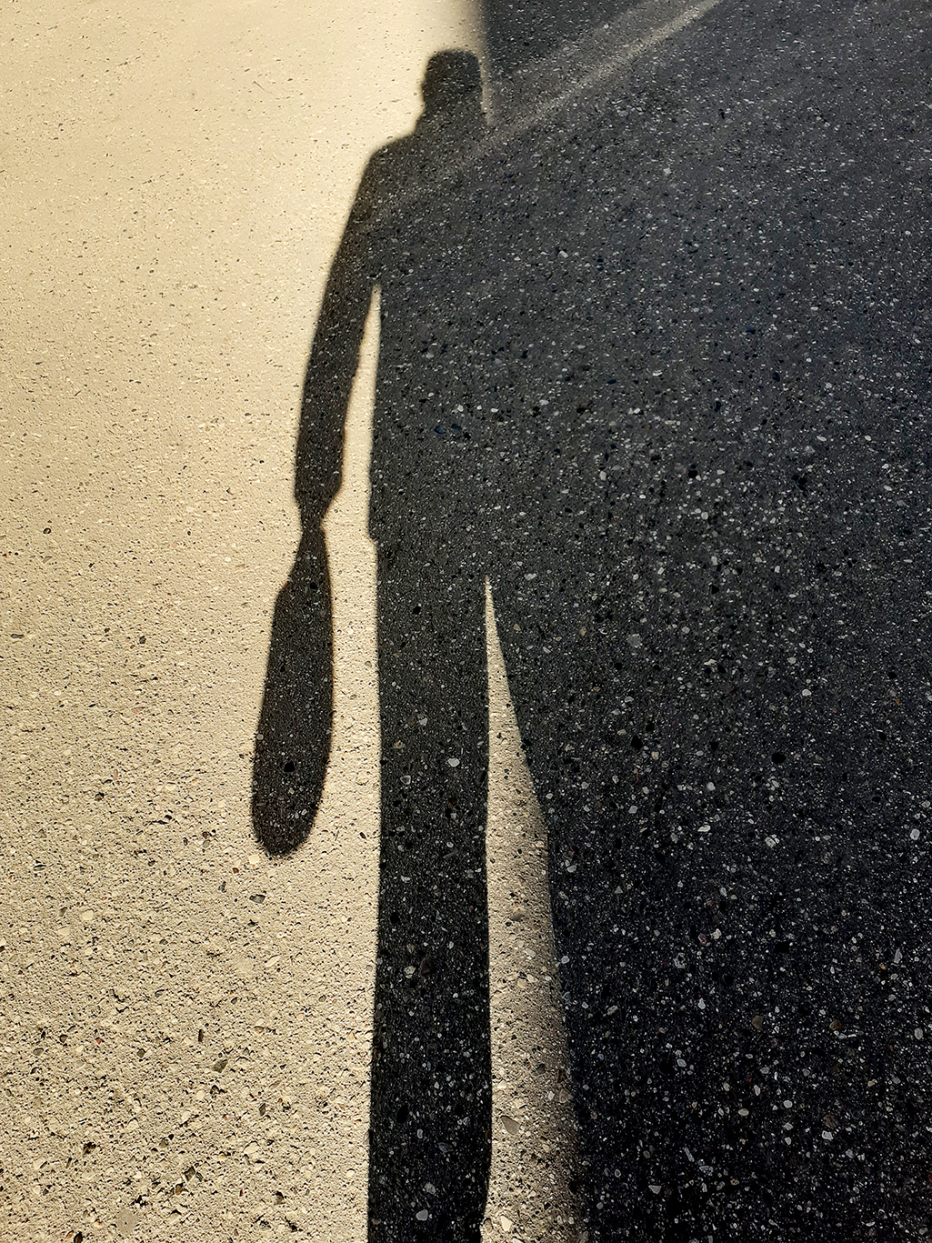 Тени выйти из тени