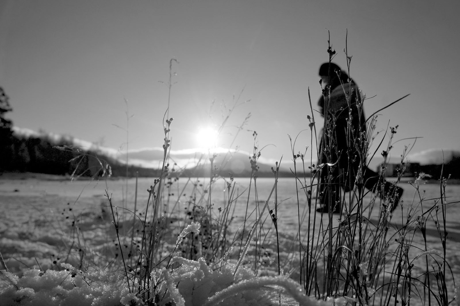 Мороз и солнце..