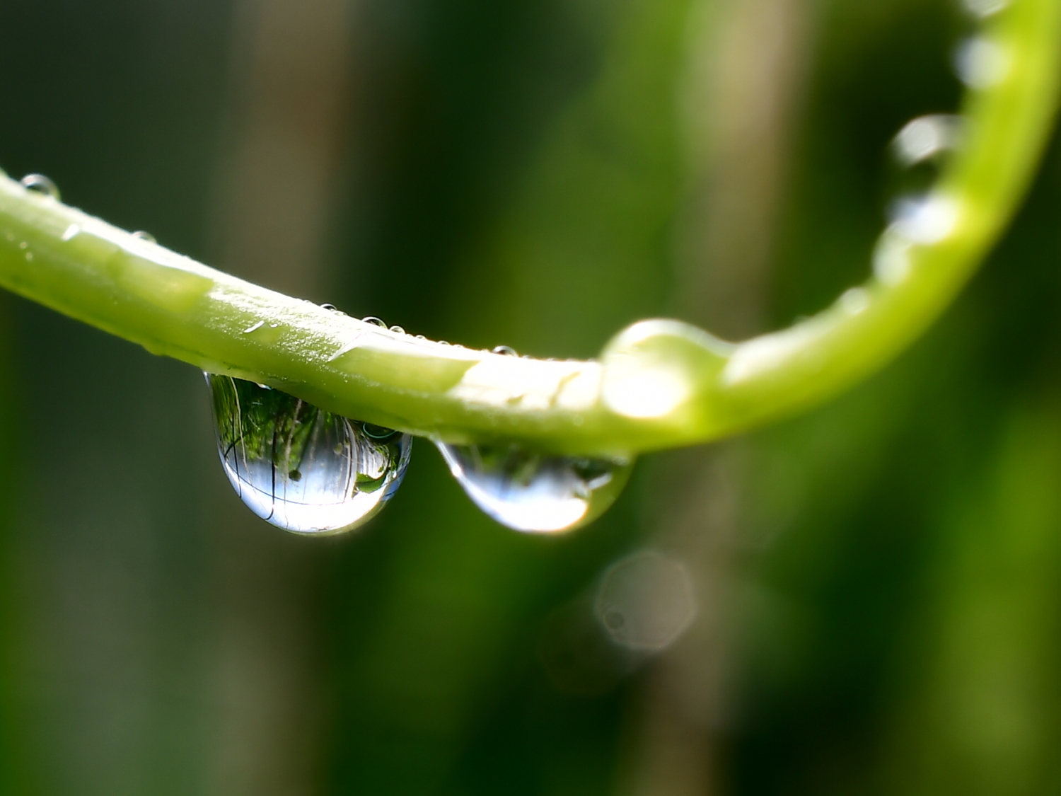 По усам текло...