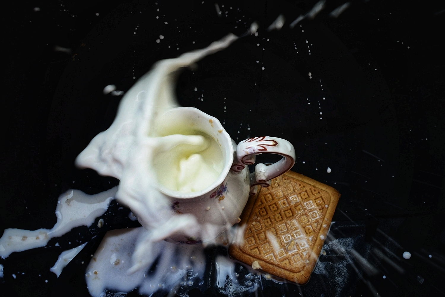 Cookie splash - белокрылая птица