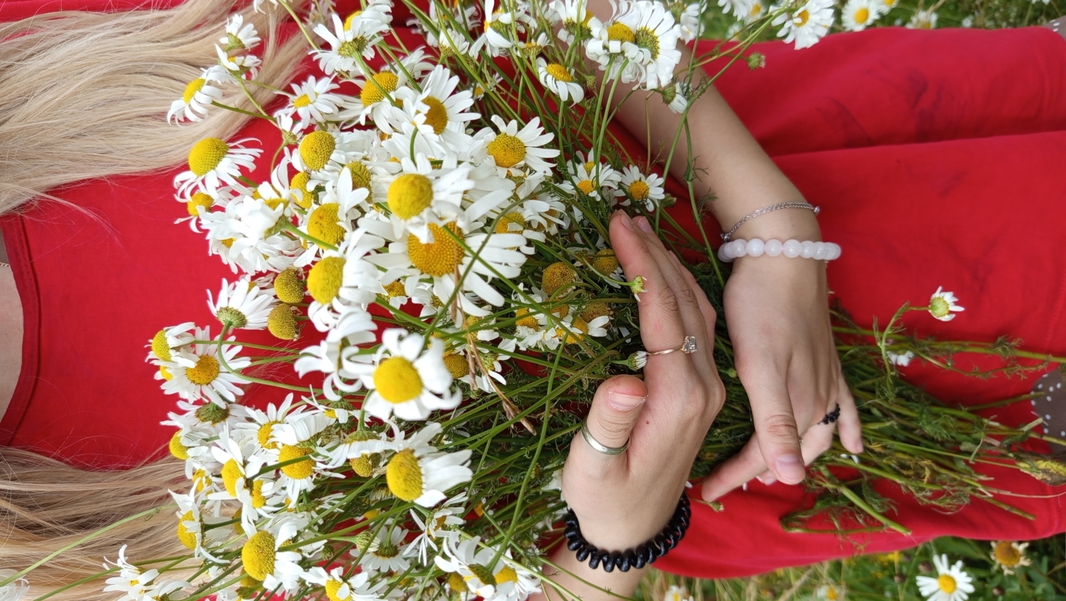 Ромашковое настроение