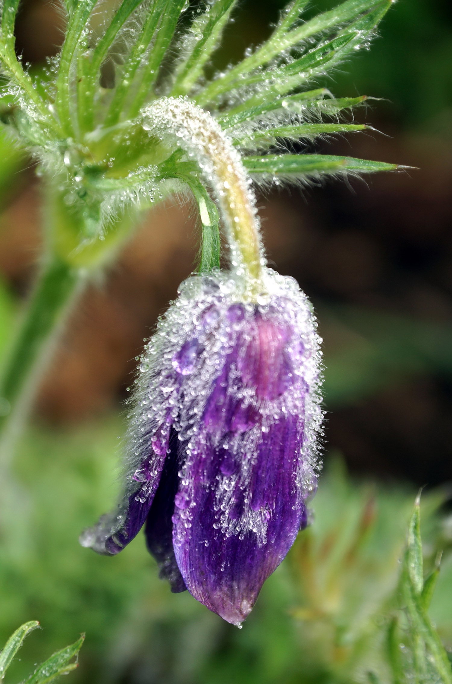 Тяжело с утра