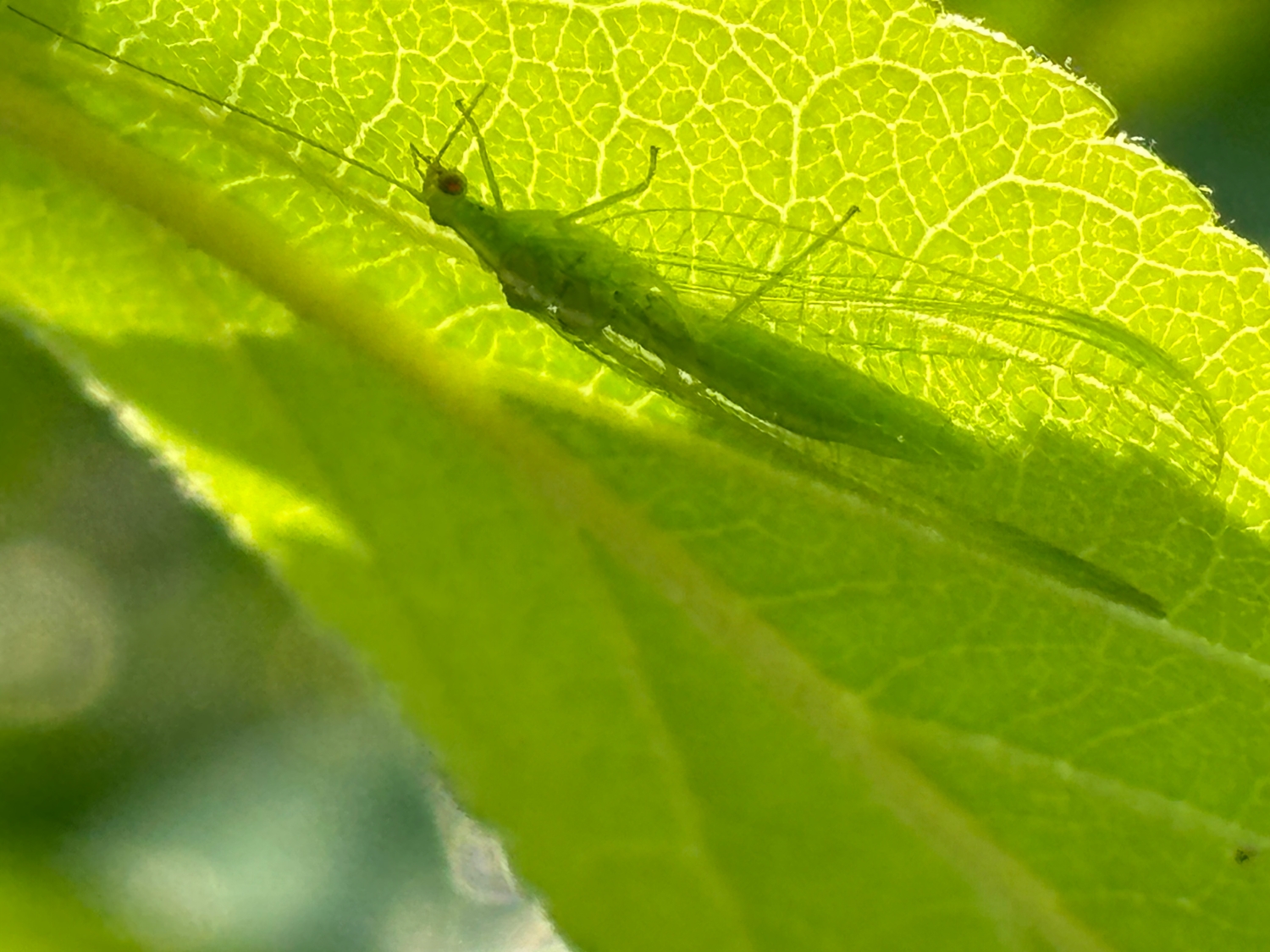 Под защитой