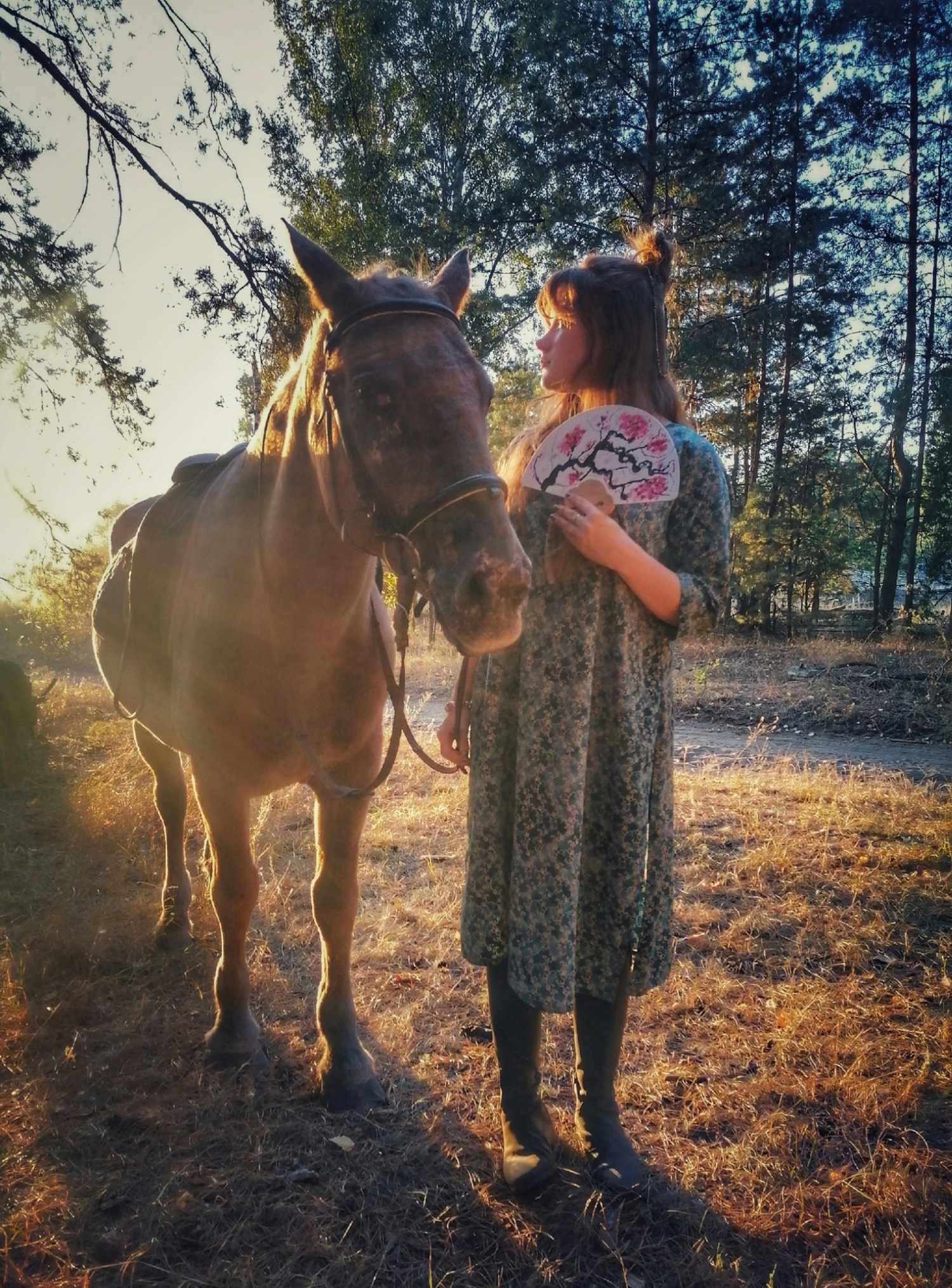 Вечерним солнцем