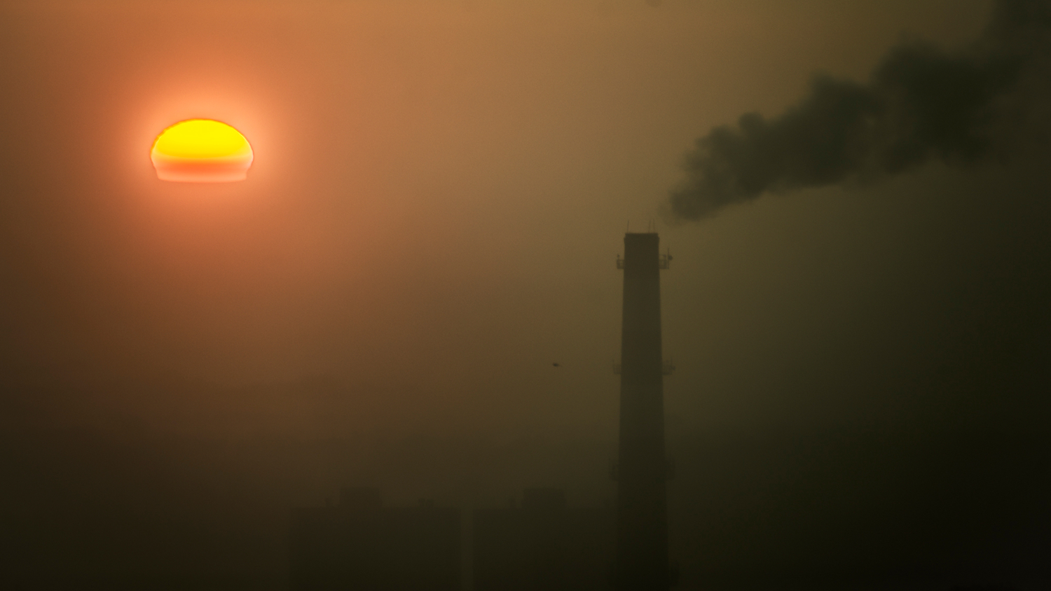 утро туманное