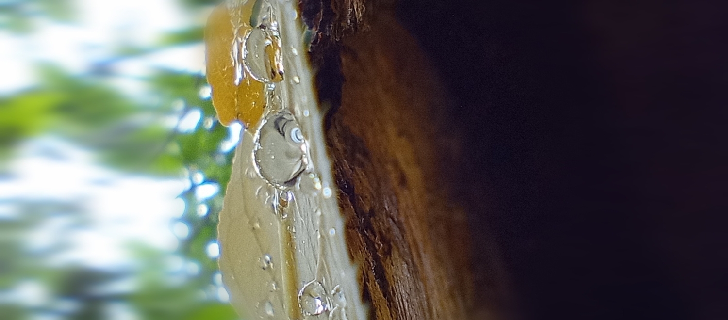 Открыв глаза на рассвете...