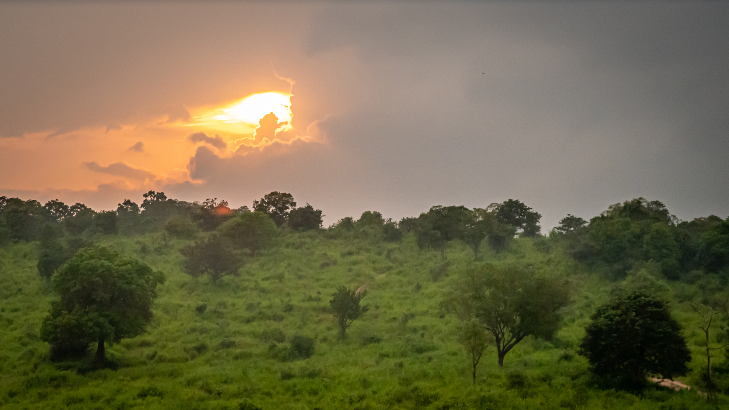 Возвращение Зевса