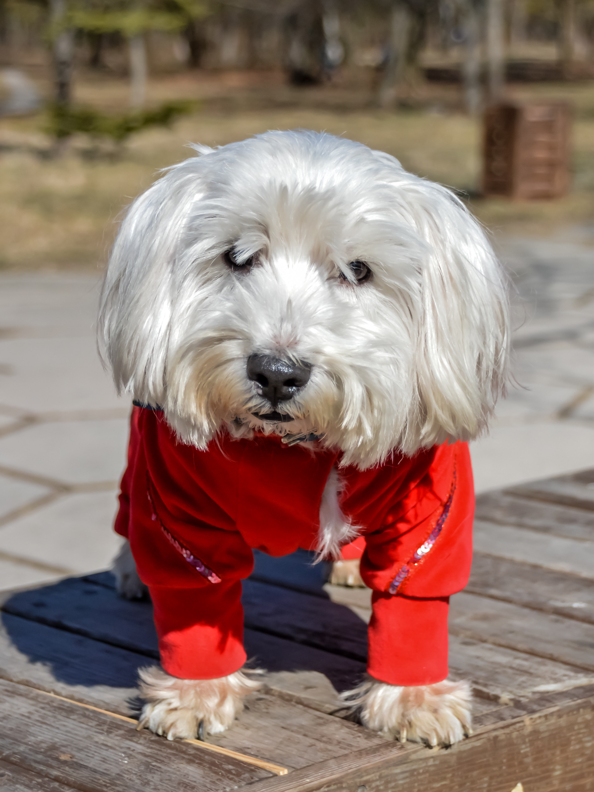 Блондинка в красном