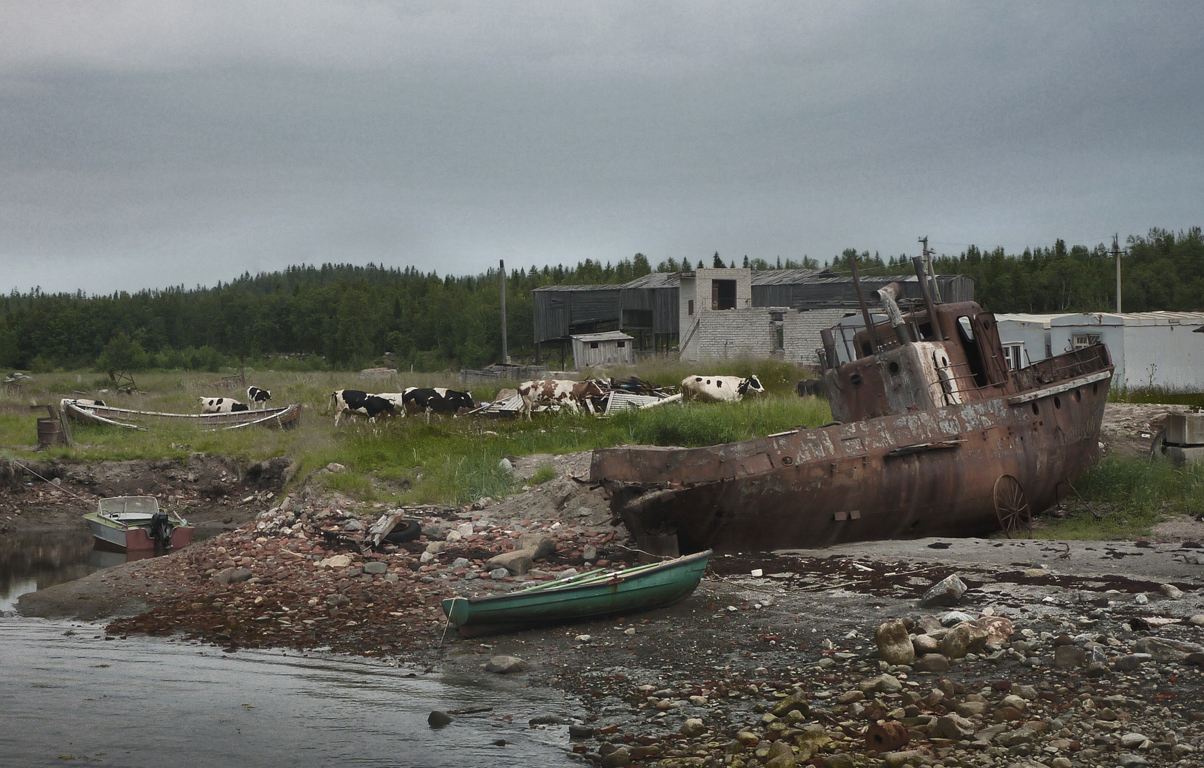 Я мечтала о морях и кораллах...
