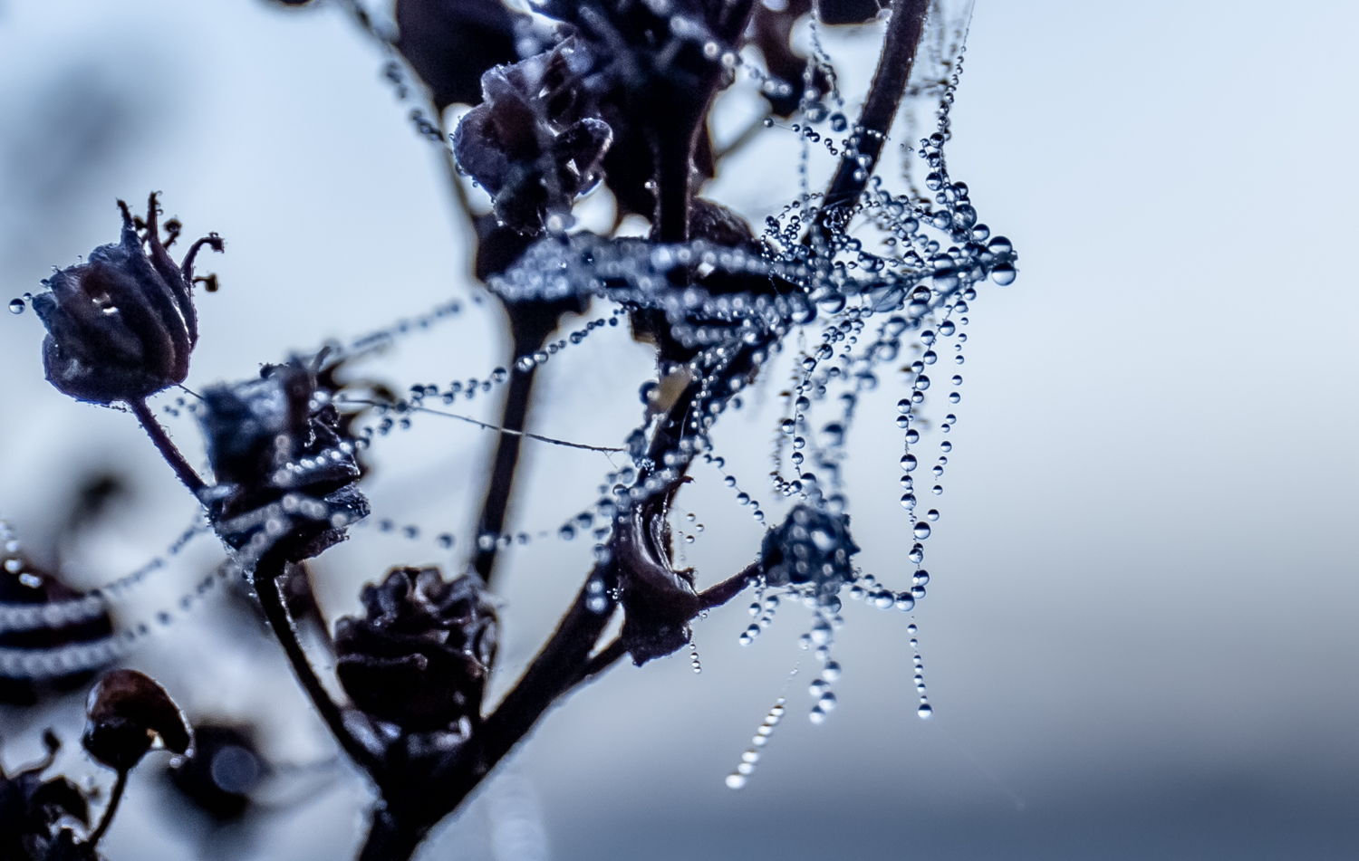 На краю тумана