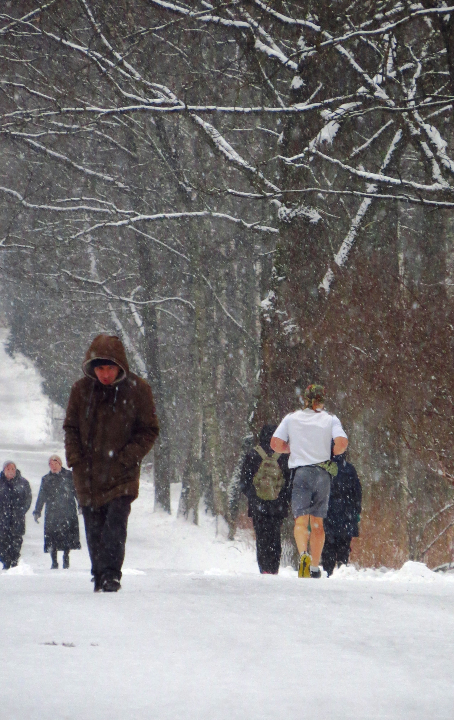 Что мне снег, что мне зной, что мне дождик...