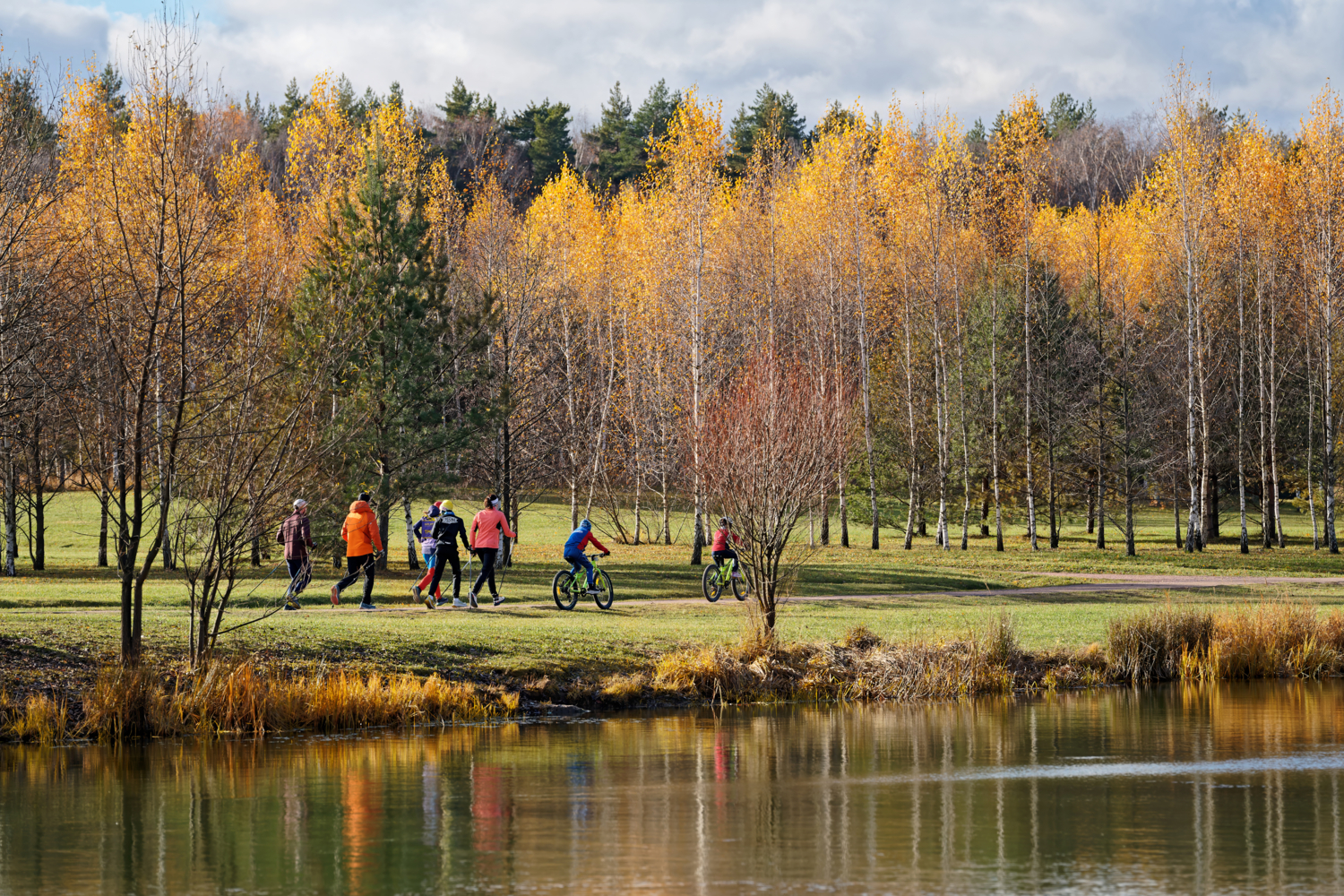 Все бегут, все едут