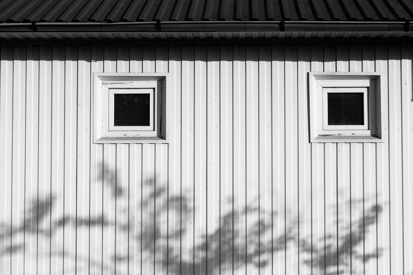 Опять небритый