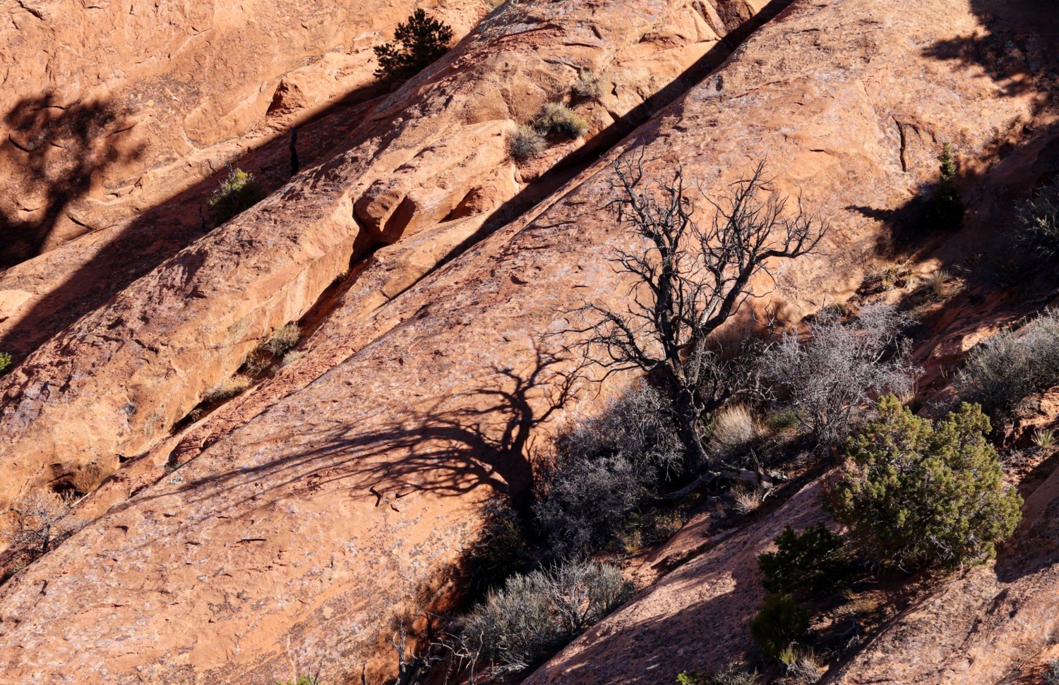 Тени на скалах