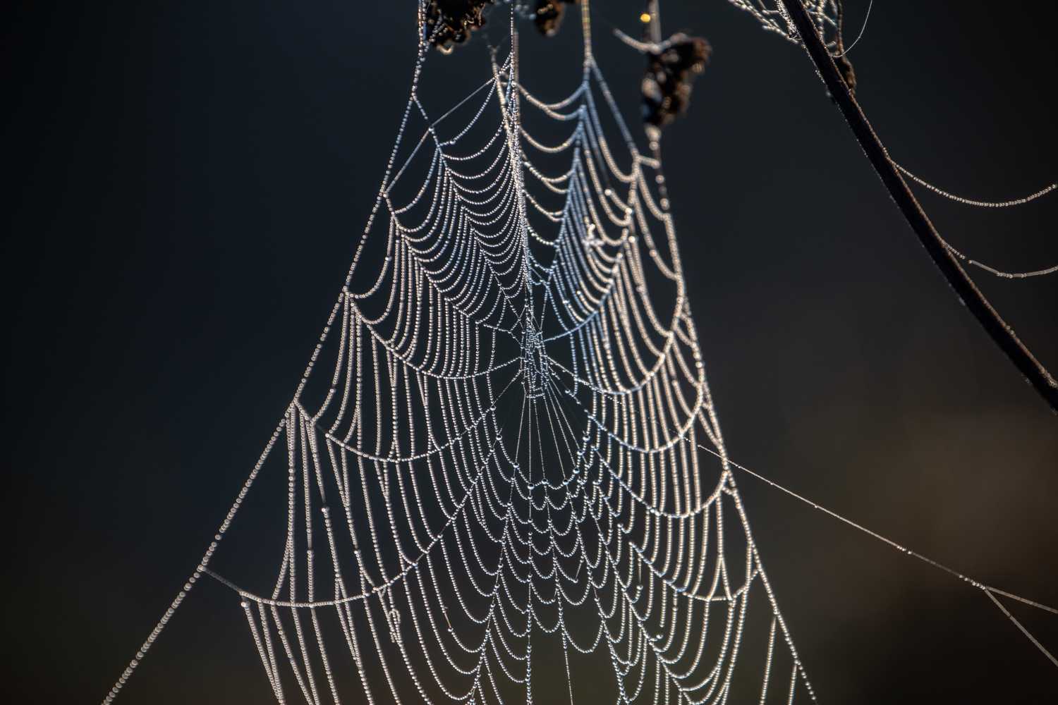 " Бермудский " треугольник