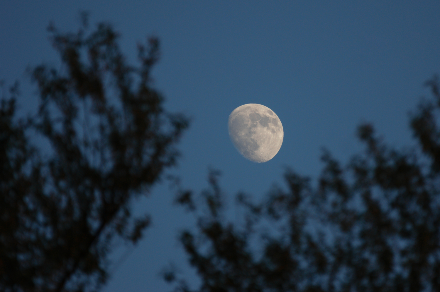 Меланхолия луны