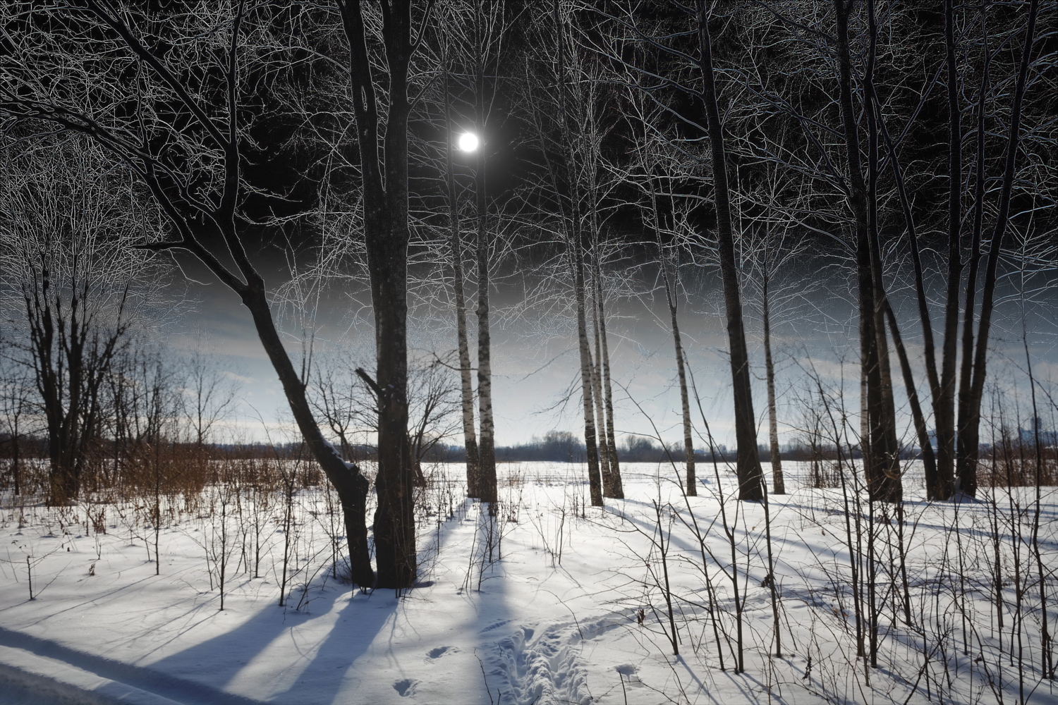 Зимнее Солнцестояние