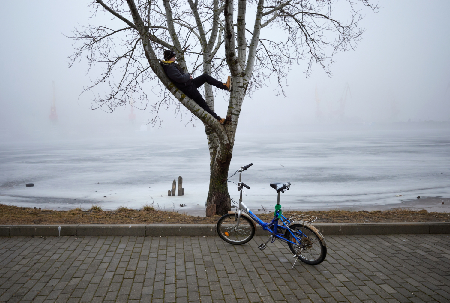 Без названия