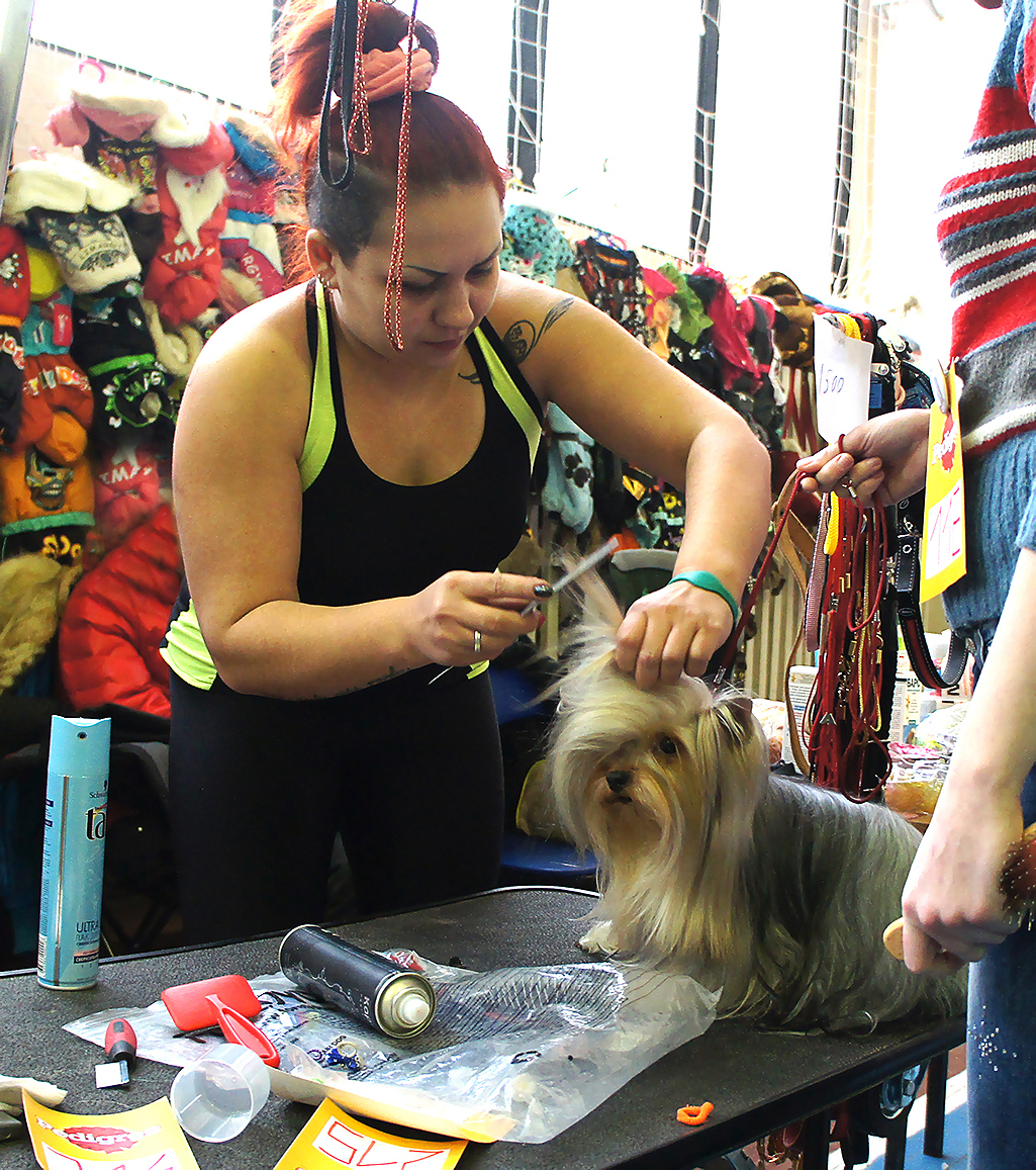 Конкурсная стрижка