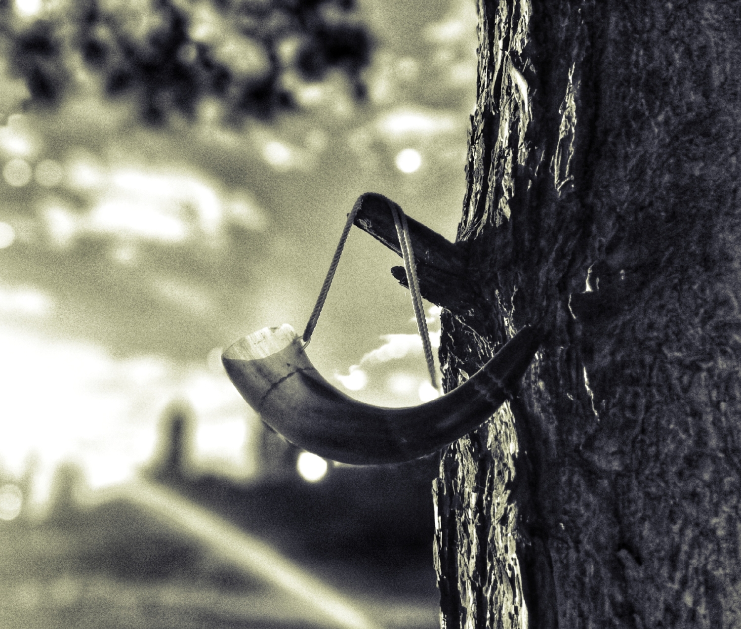 Важен только внутренний свет.