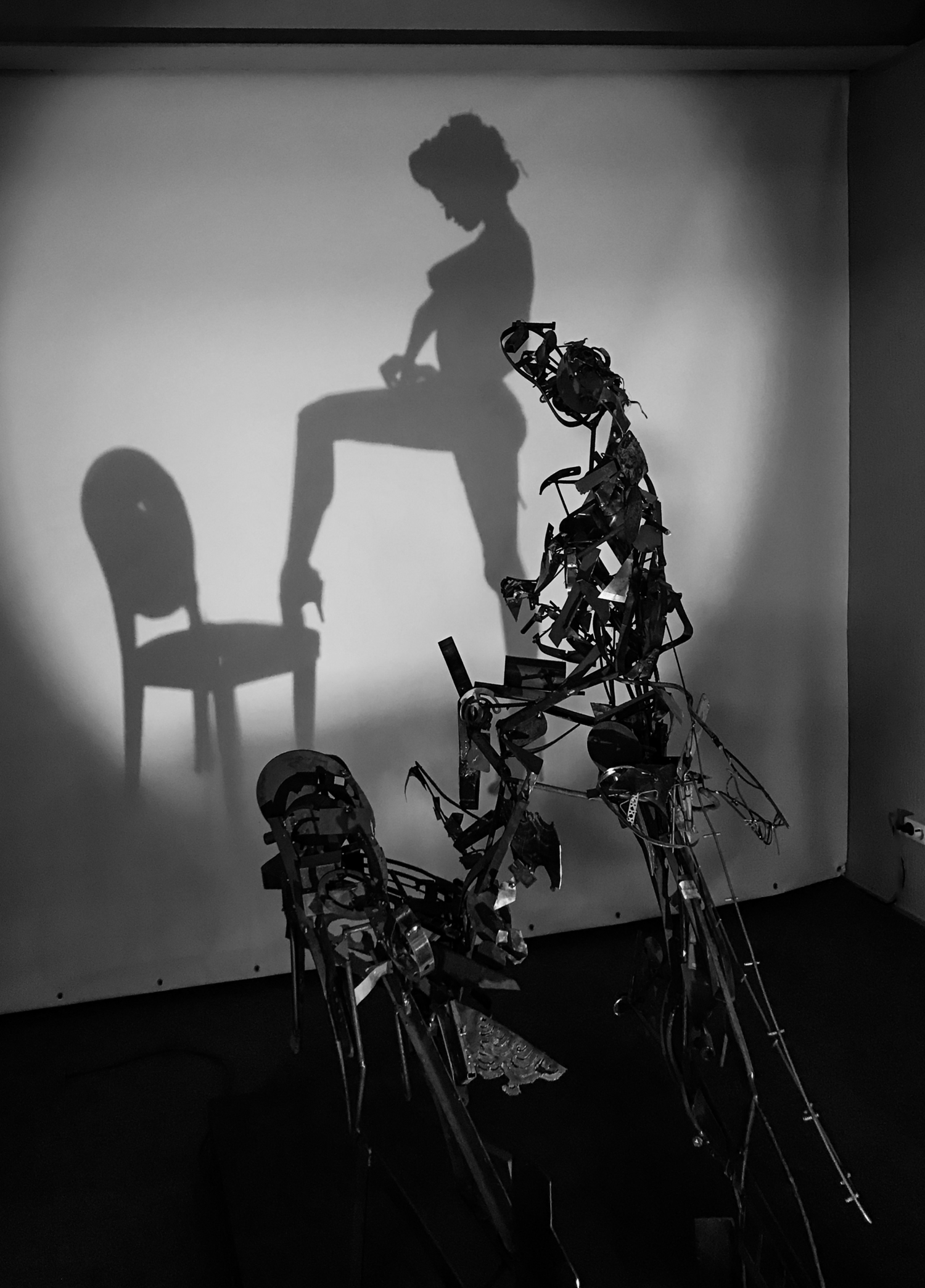 Обманчивая тень