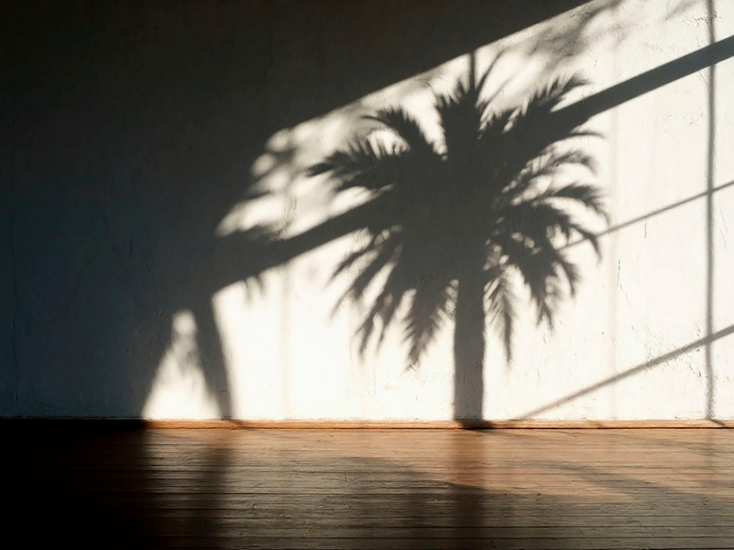 Пальма в интерьере