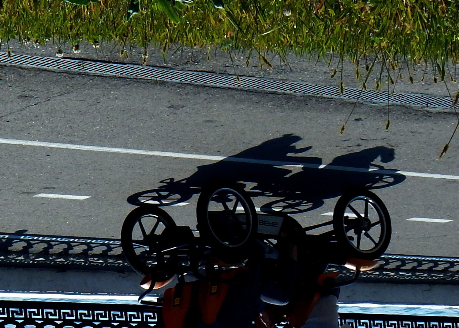 ЕХАЛИ МЕДВЕДИ НА ВЕЛОСИПЕДЕ